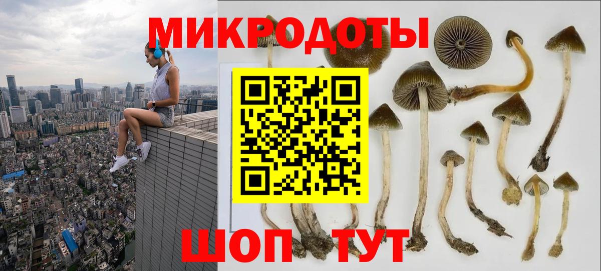 наркошоп  Вход с VPN  Еманжелинск  Псилоцибиновые грибы Magic Shrooms  Галлюциногенные грибы Psilocybe 